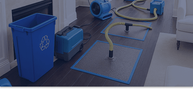 Damage Assessment & Cleanup