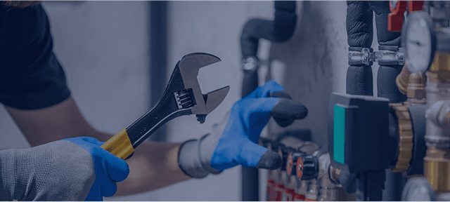 Mold Removal & Prevention