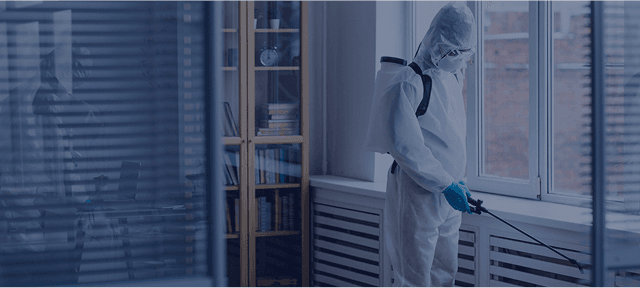 Full Restoration & Repairs